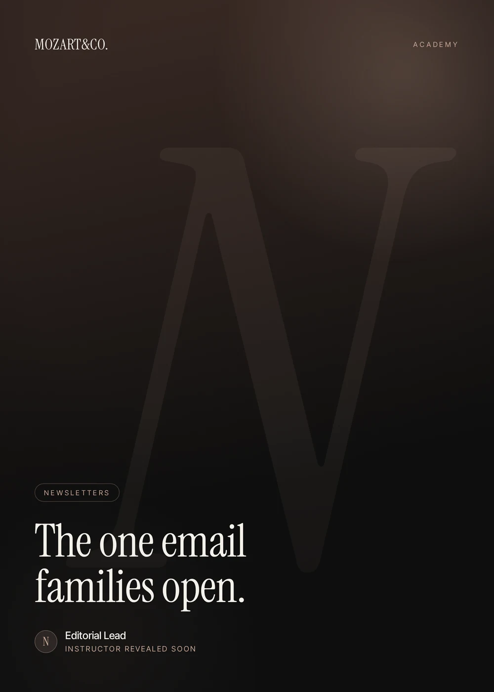 Newsletter Systems master class